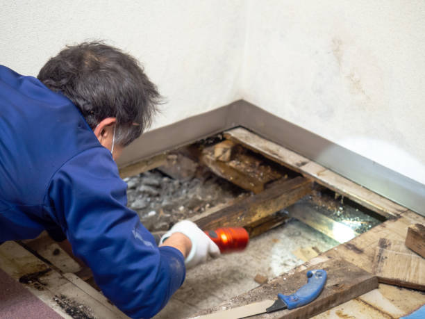 Best Mold Testing  in Cuero, TX