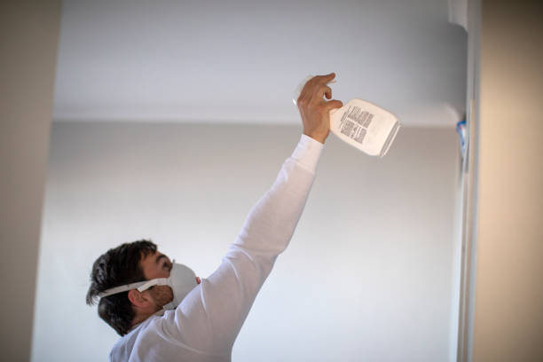 Best Mold Removal Company Near Me  in Cuero, TX